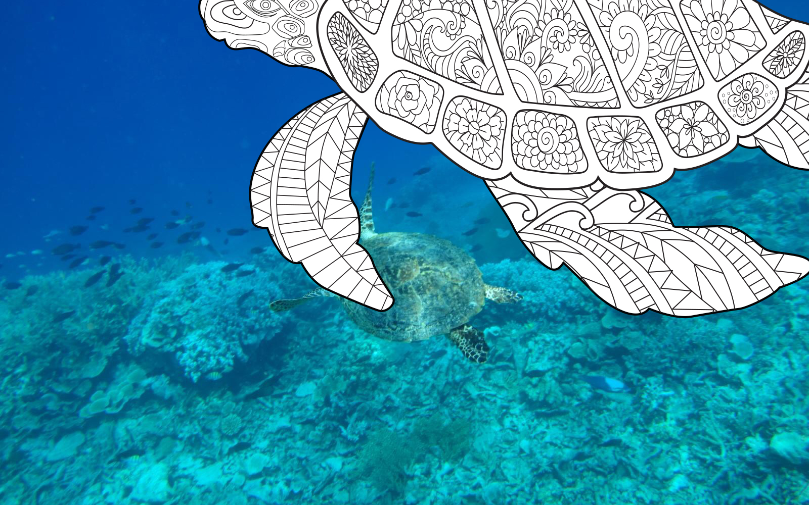 New to Zentangle? Here's what you need to know. Plus